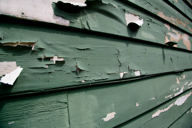 Recycling Services for Junk in Lone Oak, TN
